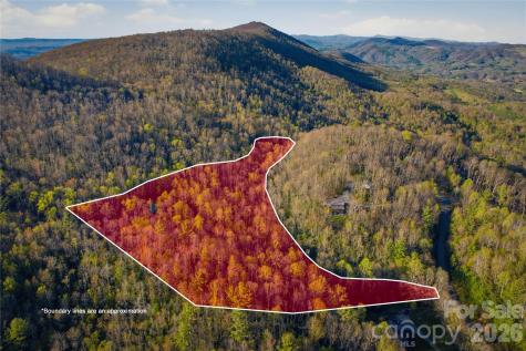 163 Bear Track Lane Vilas NC 28692