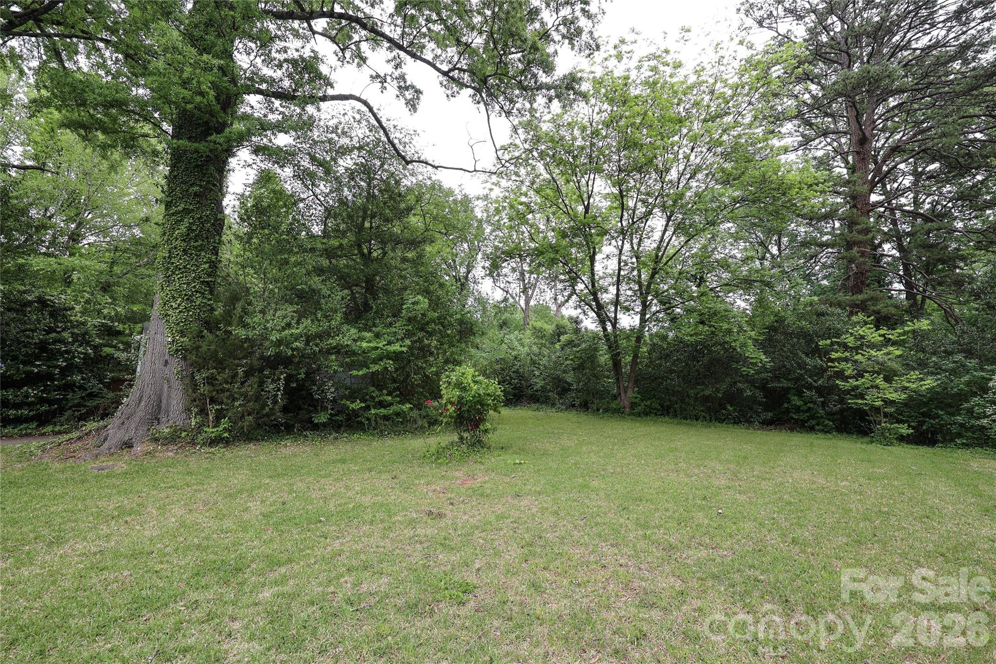 1456 Briar Creek Road Charlotte NC 28205