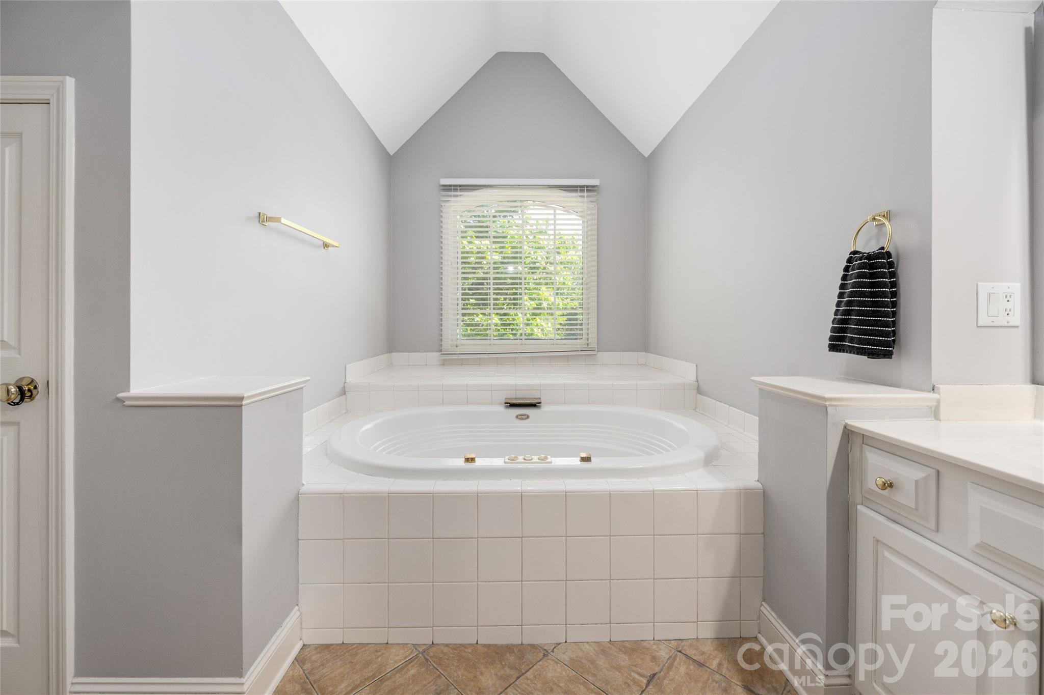 10025 Bayart Way Huntersville NC 28078