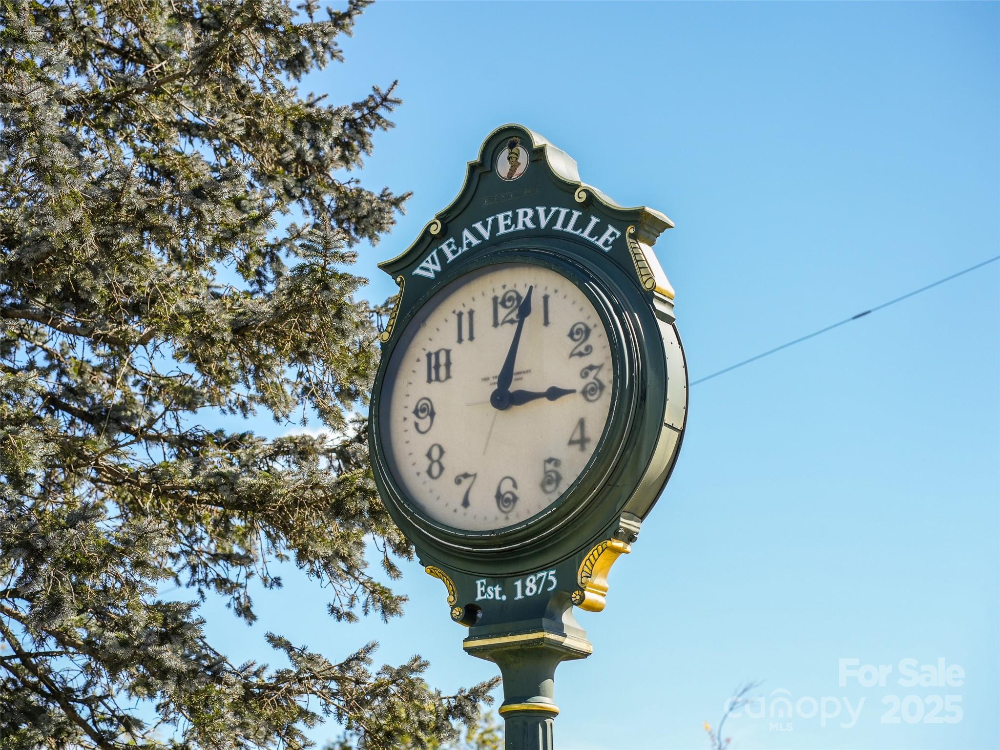 17 Sunset Drive Weaverville NC 28787