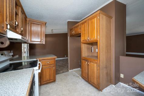 6 Wisteria Court Asheville NC 28806