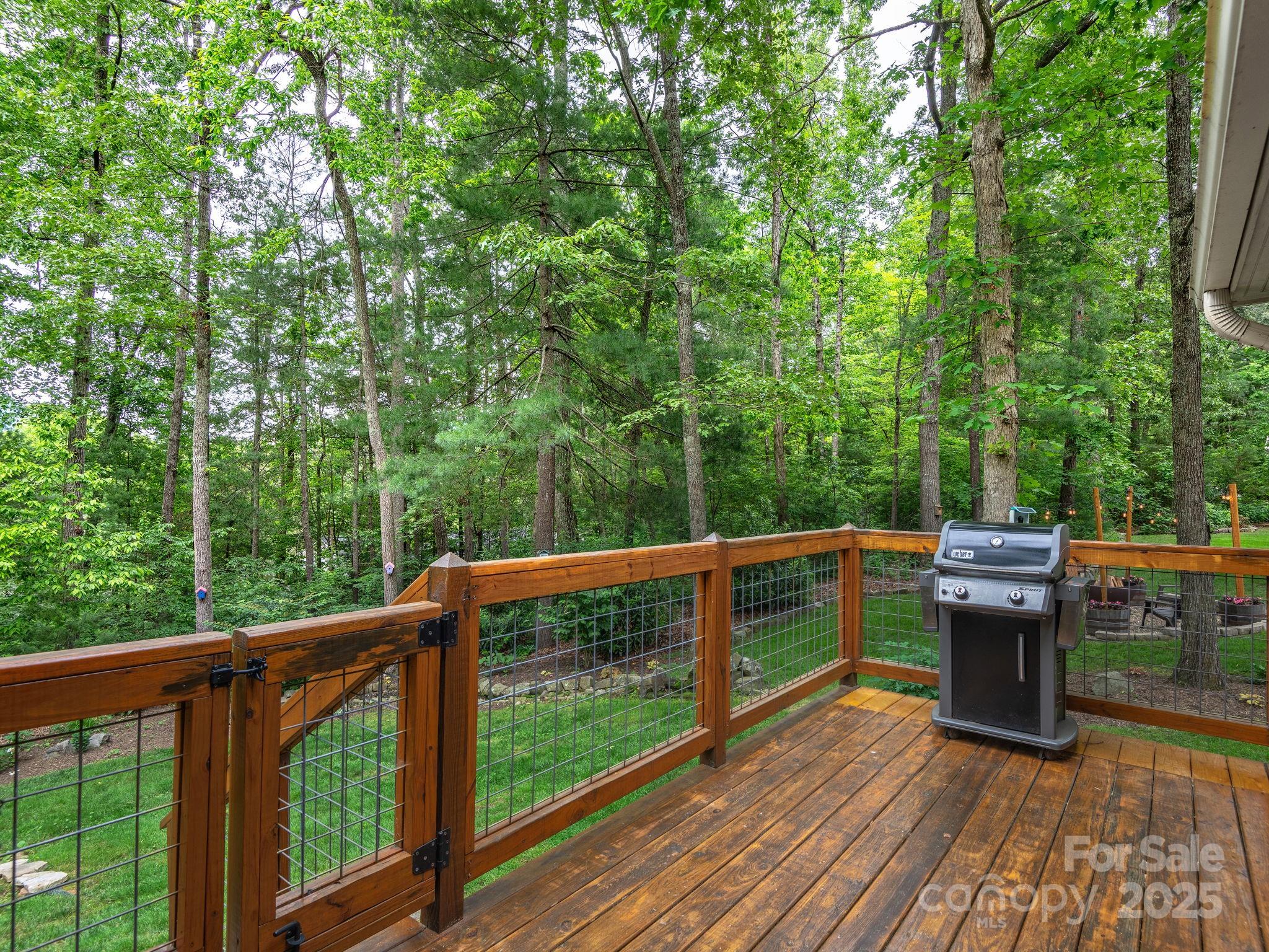 15 Bonnies Lane Asheville NC 28803