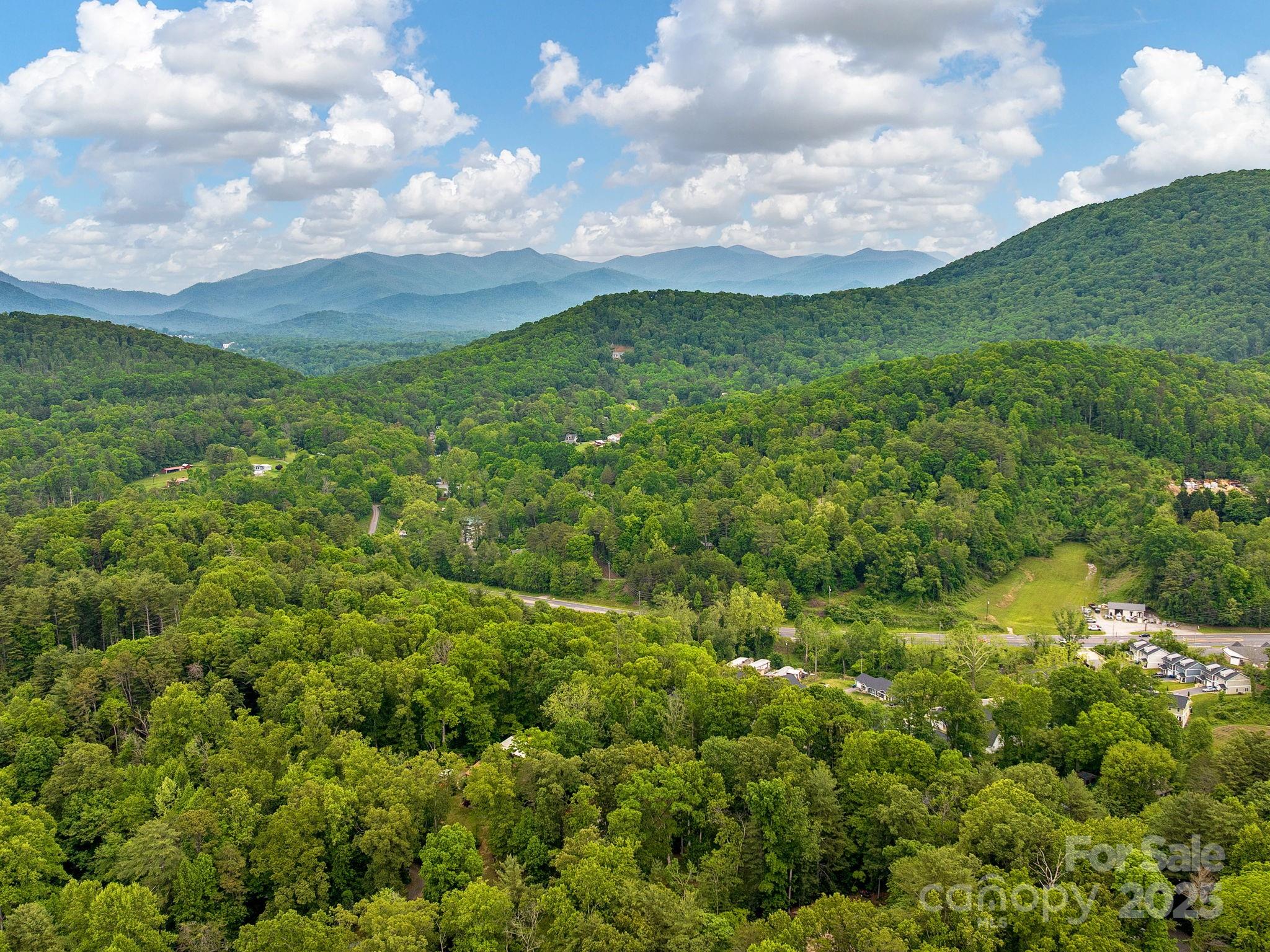 15 Bonnies Lane Asheville NC 28803