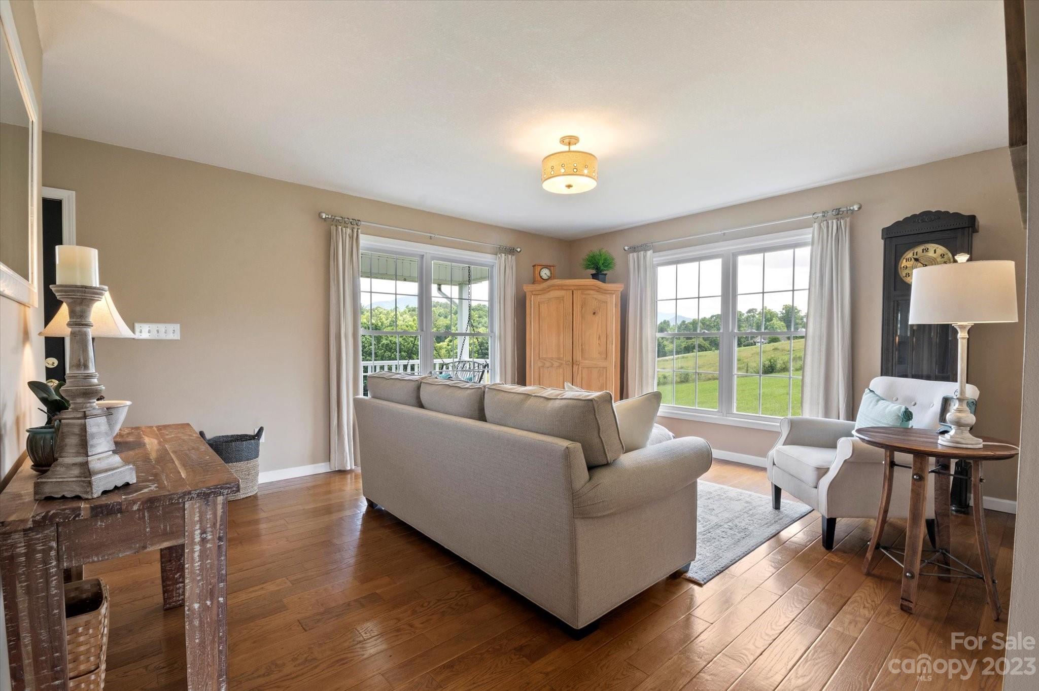 22 Whataview Drive Candler NC 28715