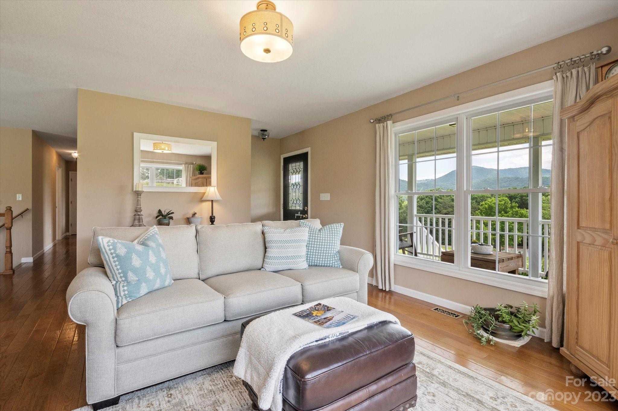 22 Whataview Drive Candler NC 28715