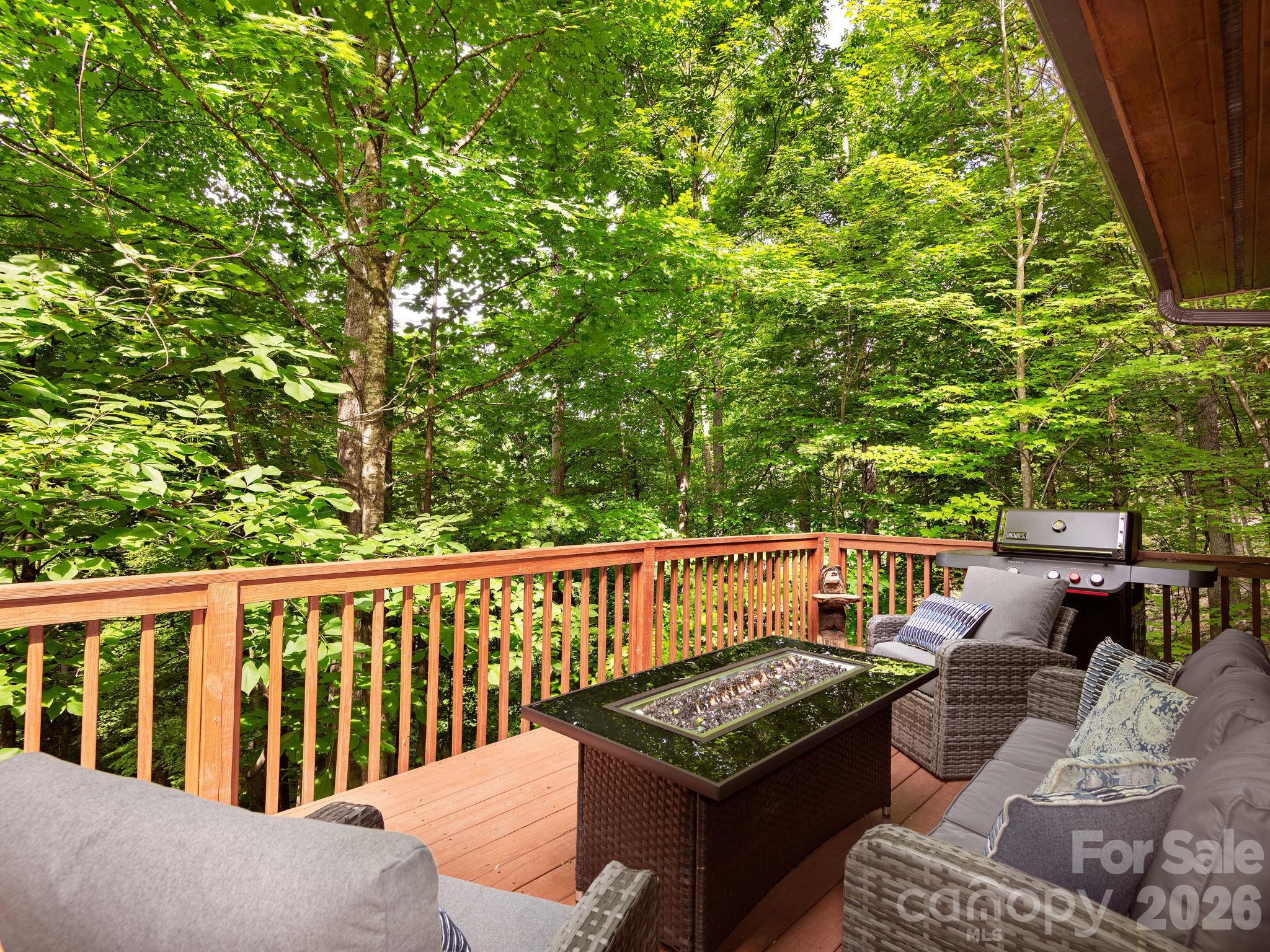 37 Grinnin Sun Road Burnsville NC 28714