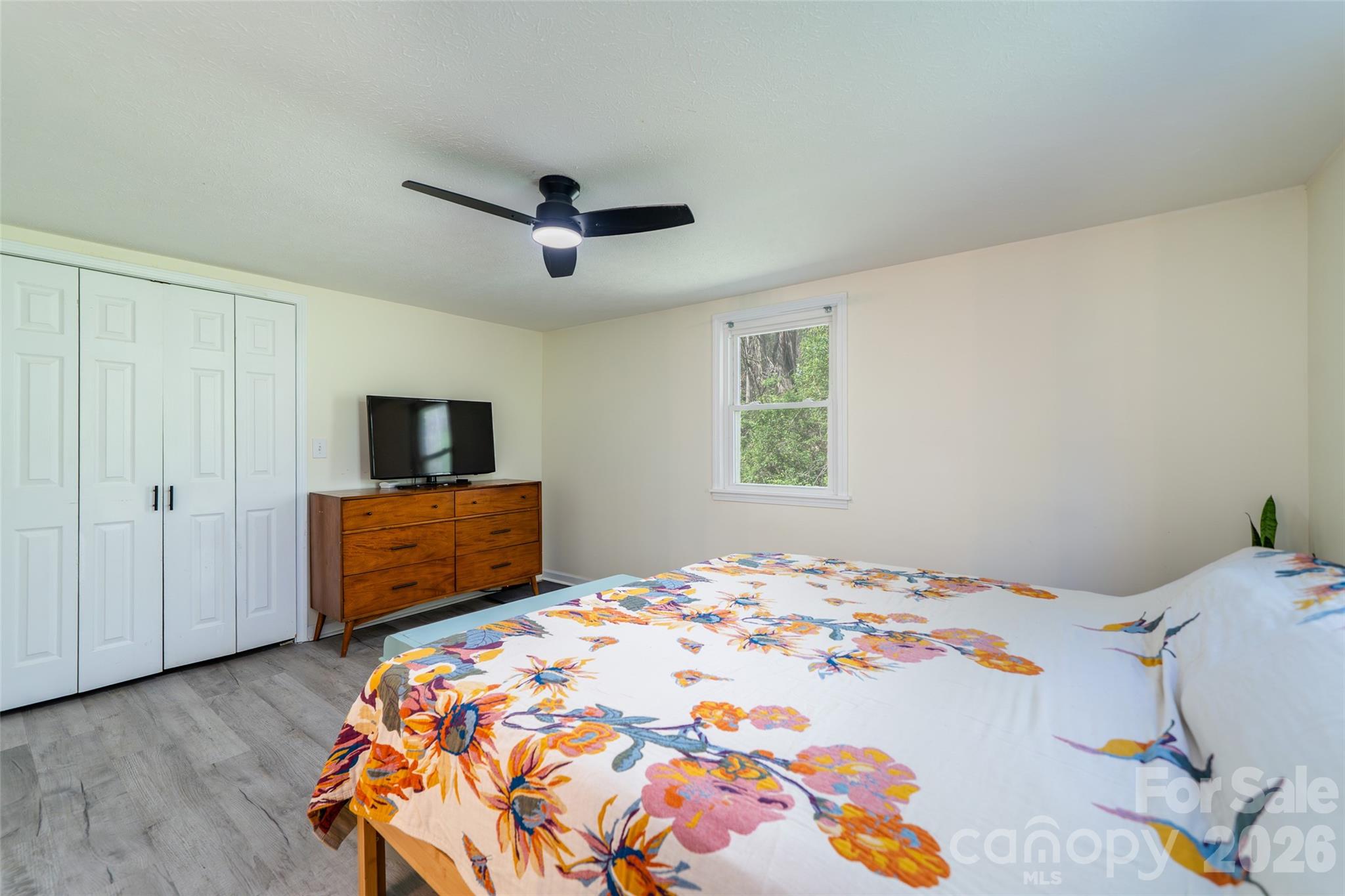 913 Dorothy Street Hendersonville NC 28791