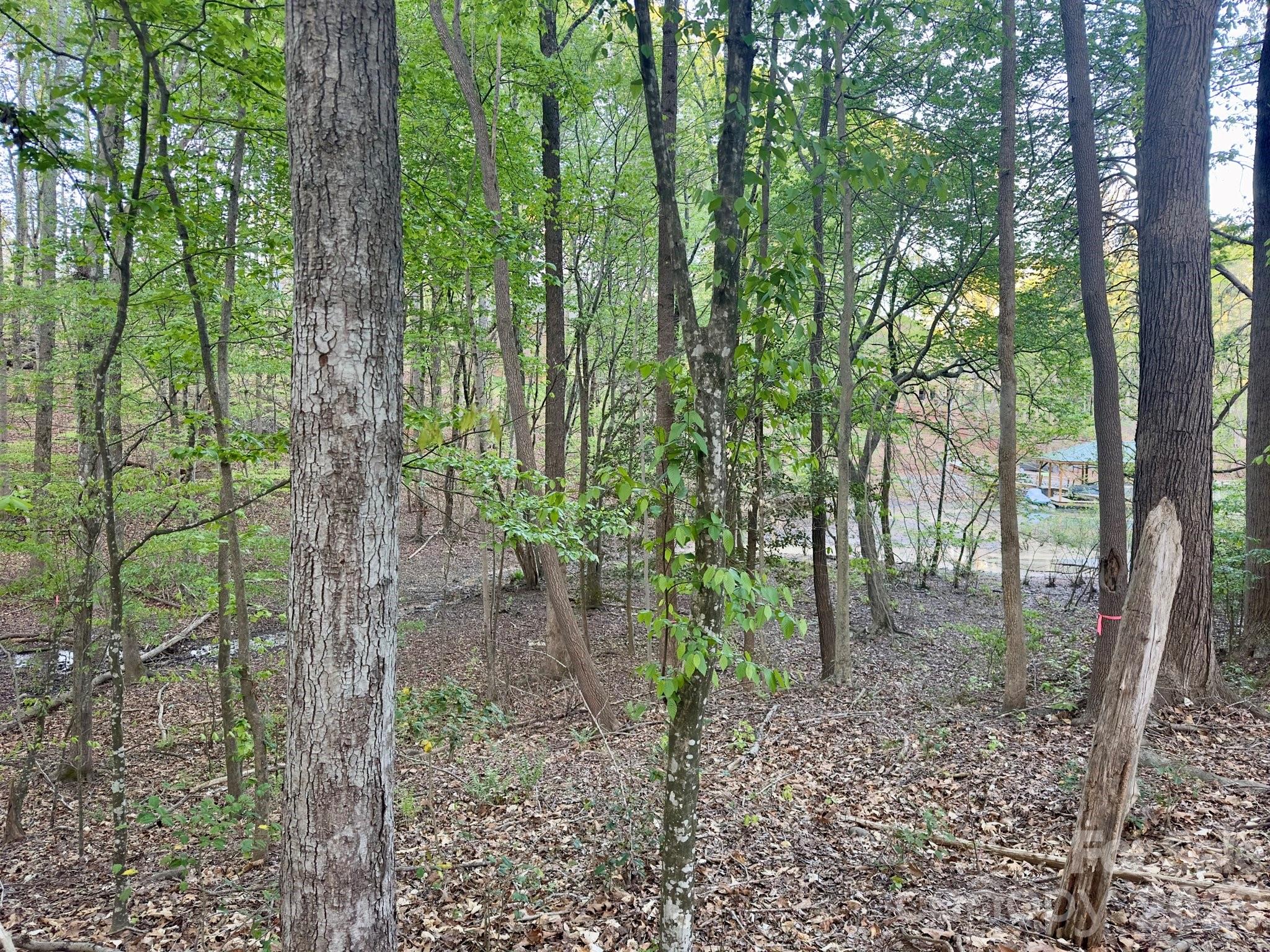 7656 Juniper Lane Denver NC 28037