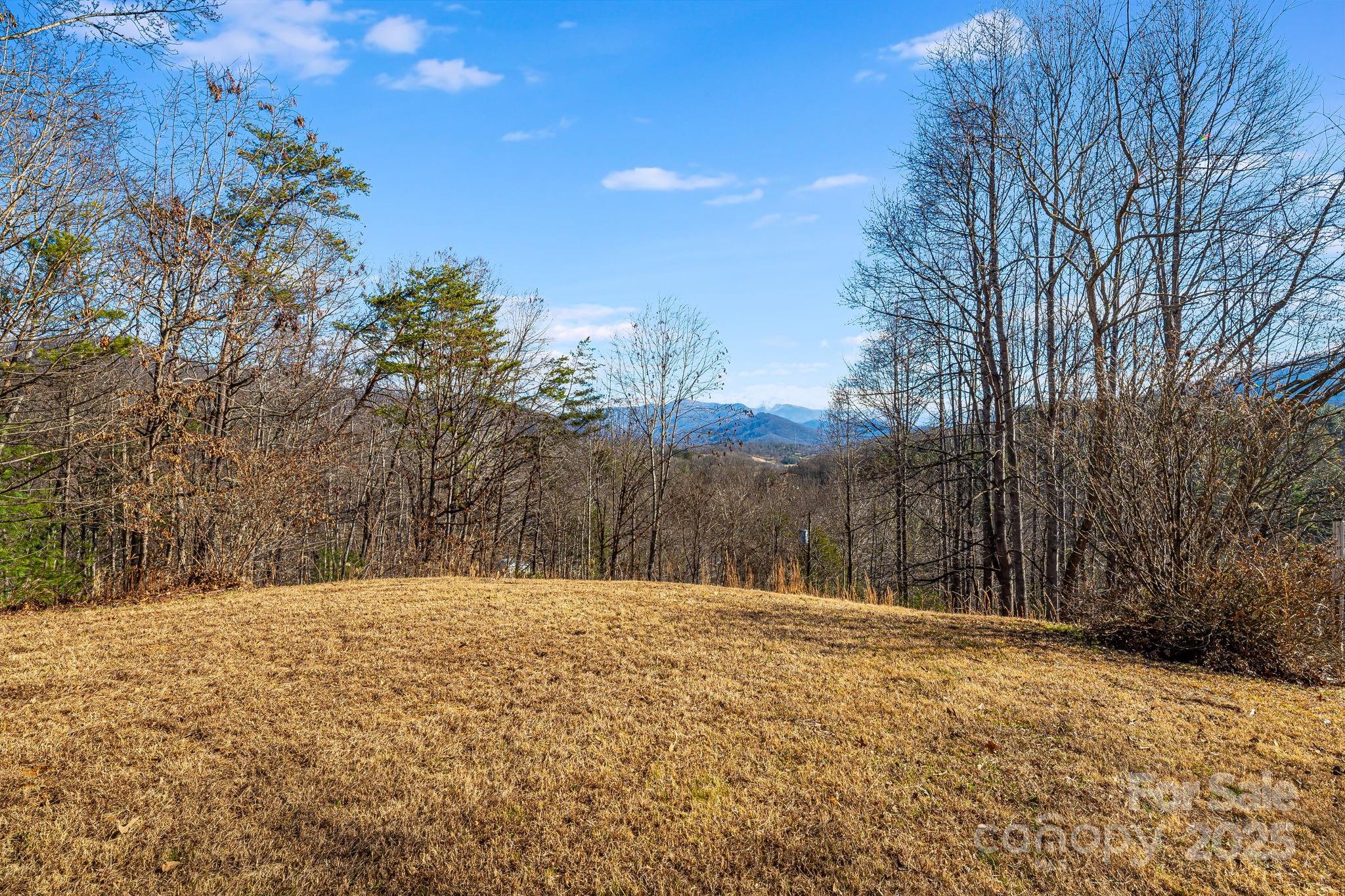 15 Cyrus Lane Weaverville NC 28787