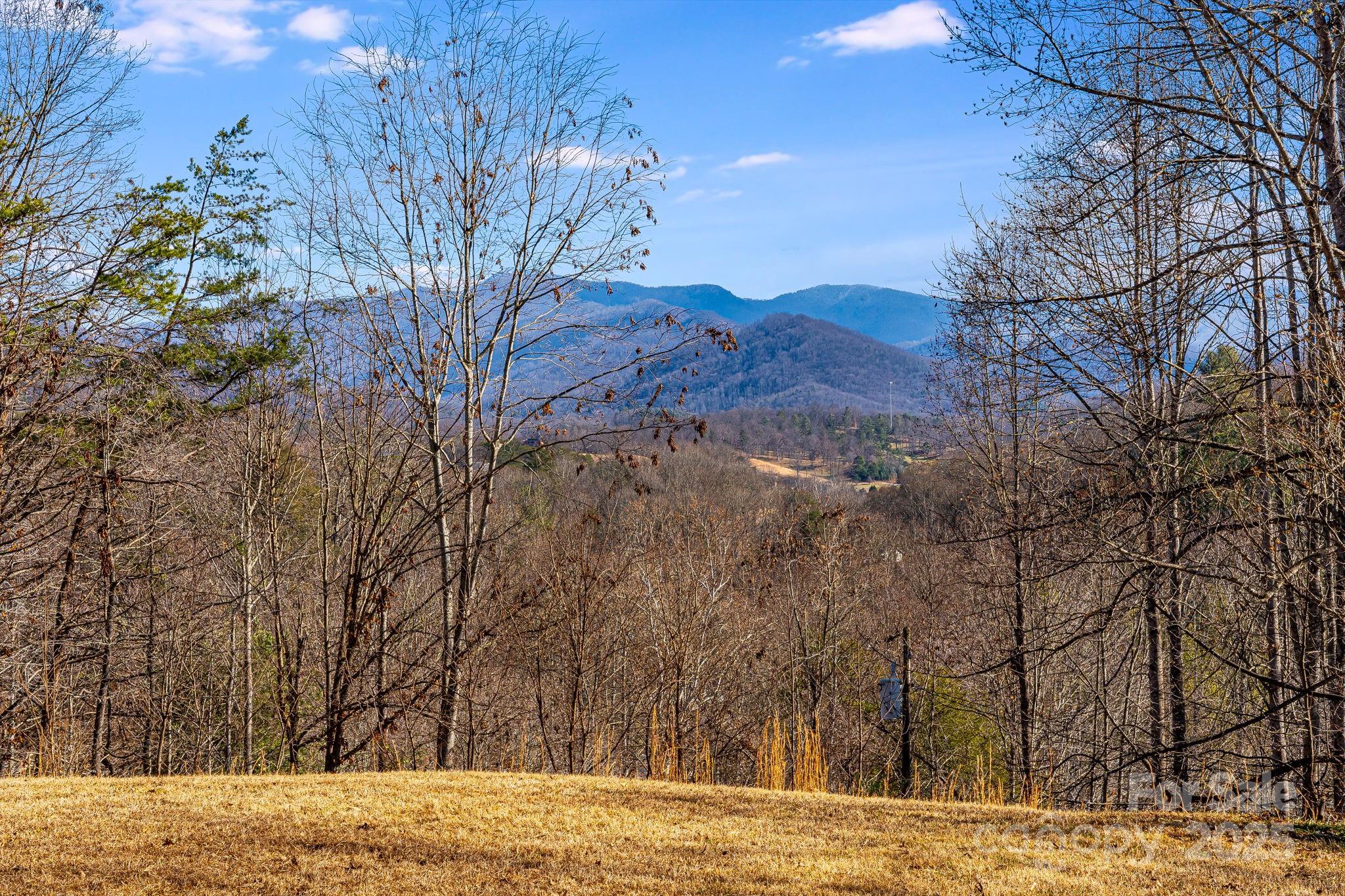 15 Cyrus Lane Weaverville NC 28787