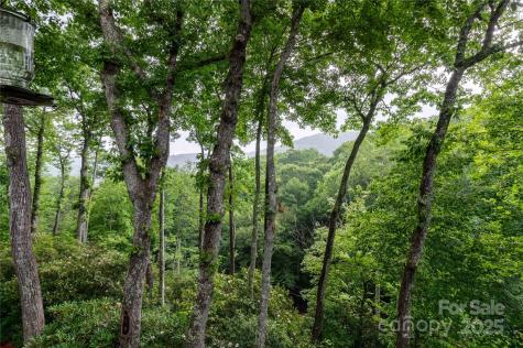 238 Falling Water Drive Burnsville NC 28714