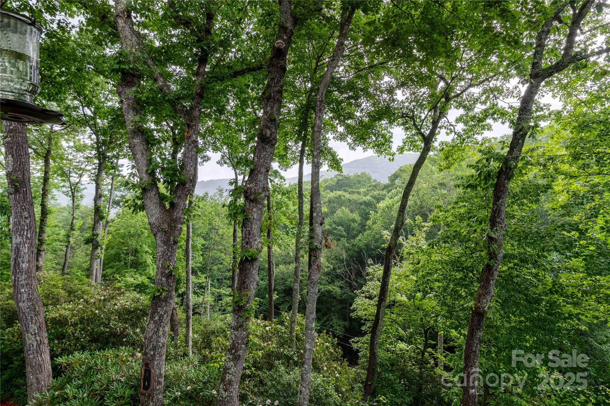 238 Falling Water Drive Burnsville NC 28714
