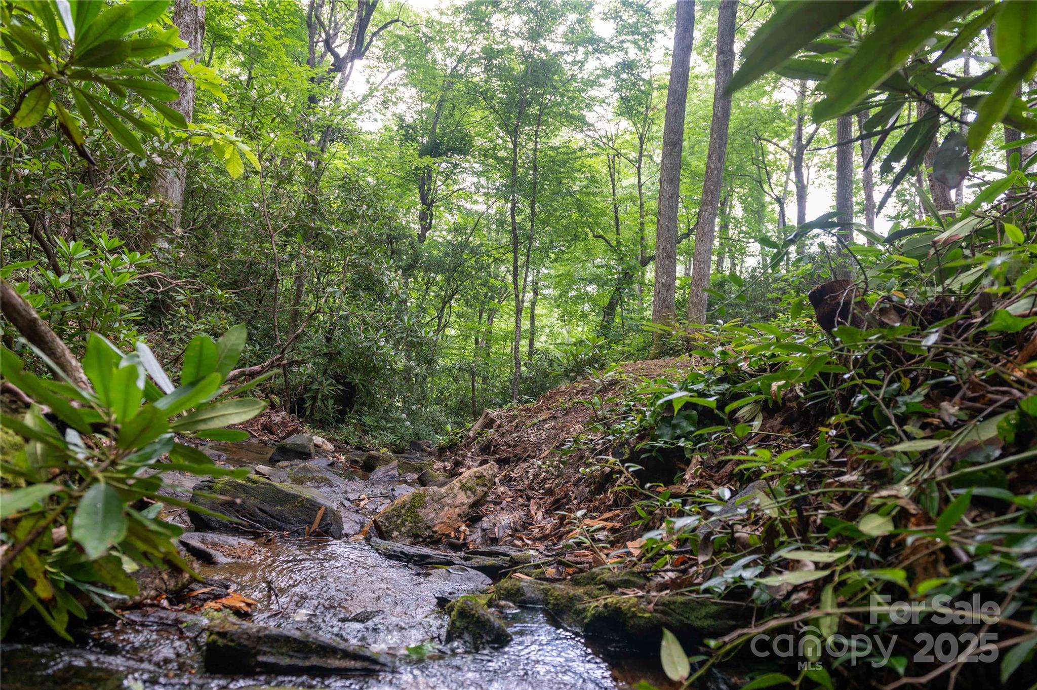238 Falling Water Drive Burnsville NC 28714