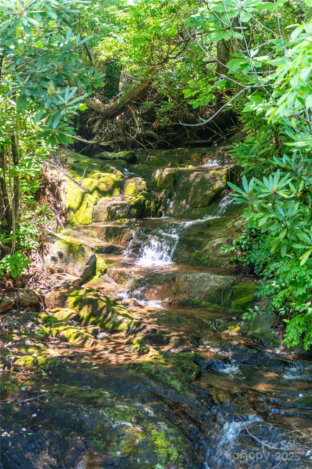 238 Falling Water Drive Burnsville NC 28714