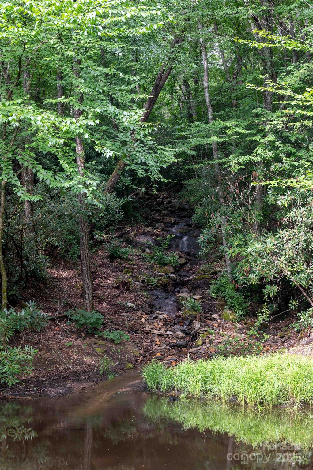 238 Falling Water Drive Burnsville NC 28714