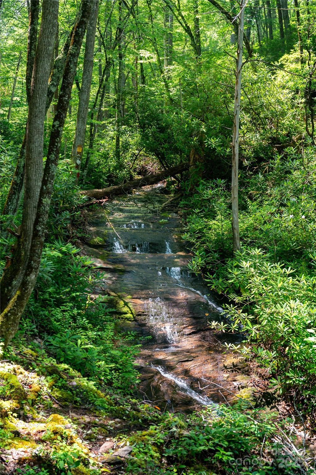 238 Falling Water Drive Burnsville NC 28714