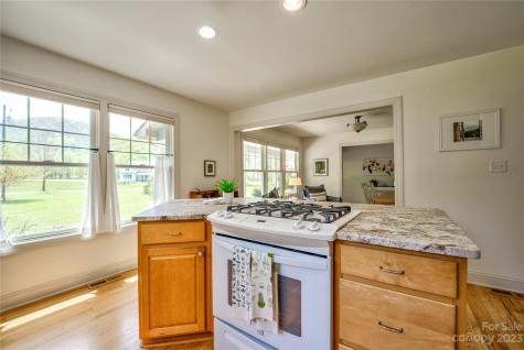 238 Ama Way Weaverville NC 28787