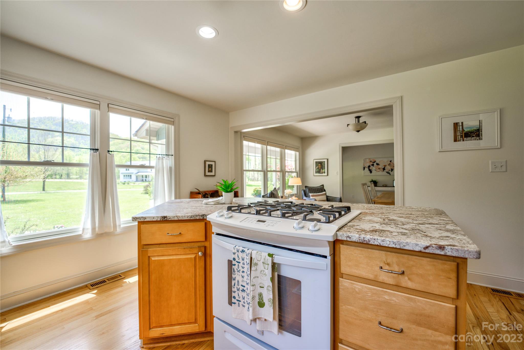 238 Ama Way Weaverville NC 28787