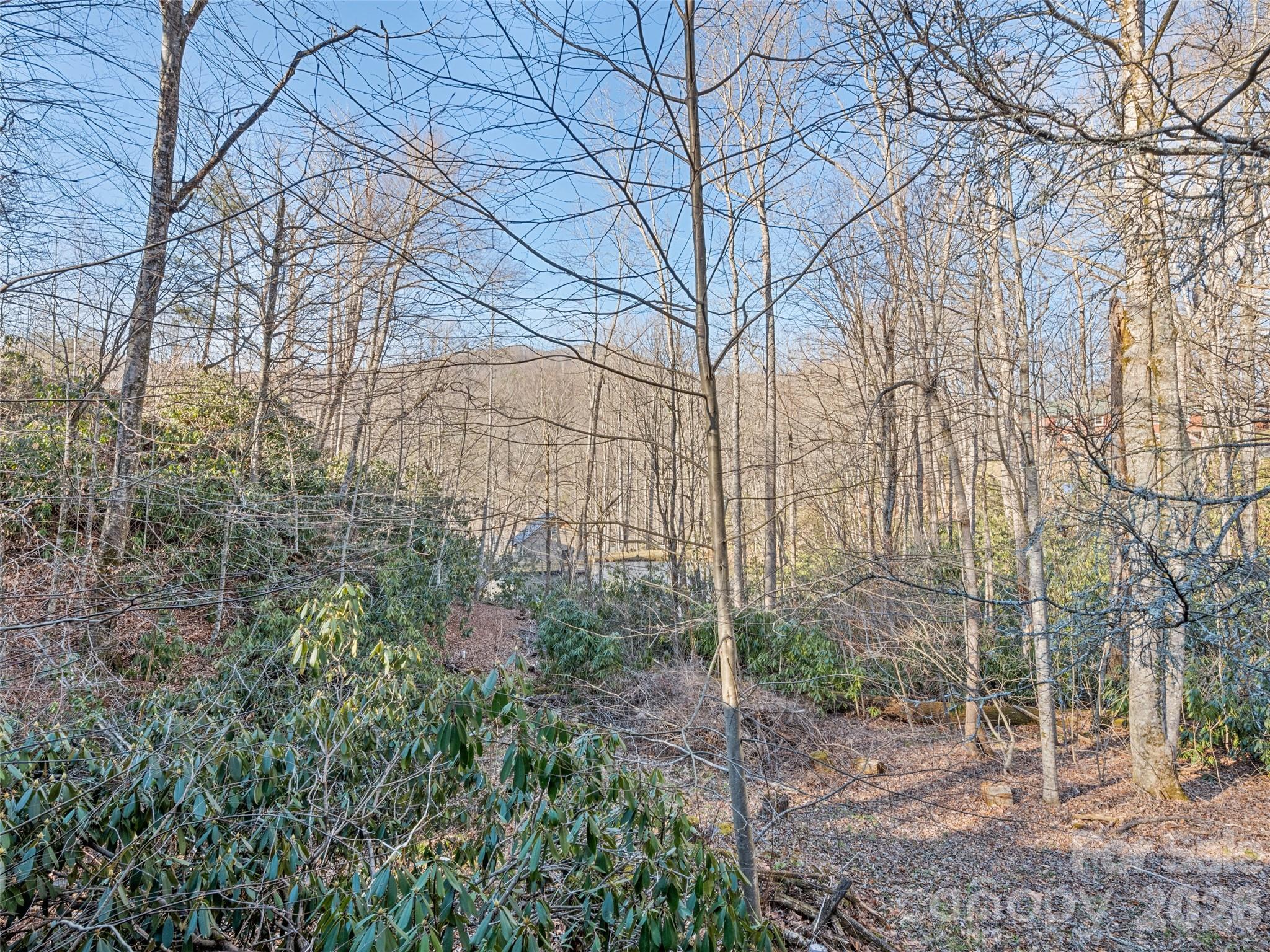 36 Mulberry Lane Maggie Valley NC 28751