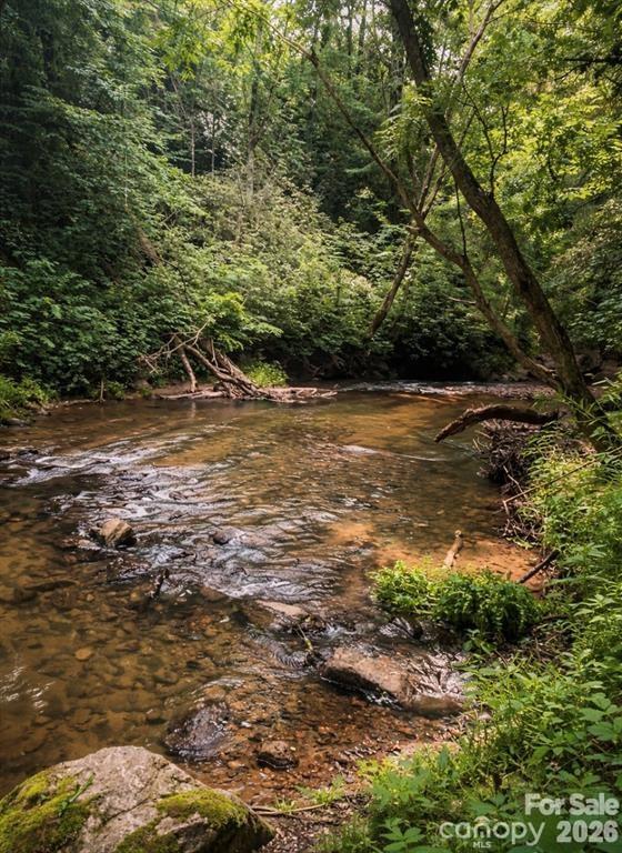 9 & 1 Old Mill Lane Weaverville NC 28787