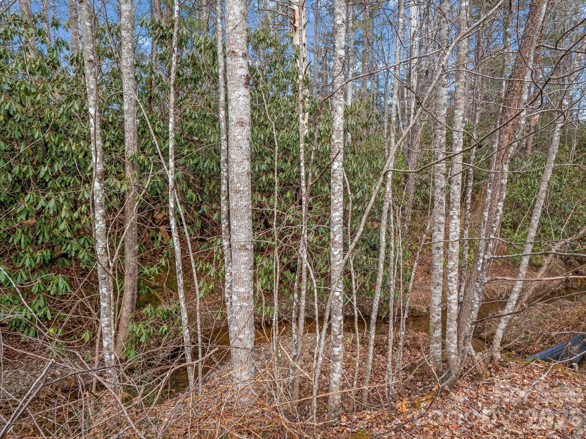220 Jonathan Creek Drive Etowah NC 28729
