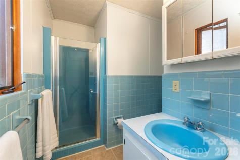 118 Richard Lane Black Mountain NC 28711
