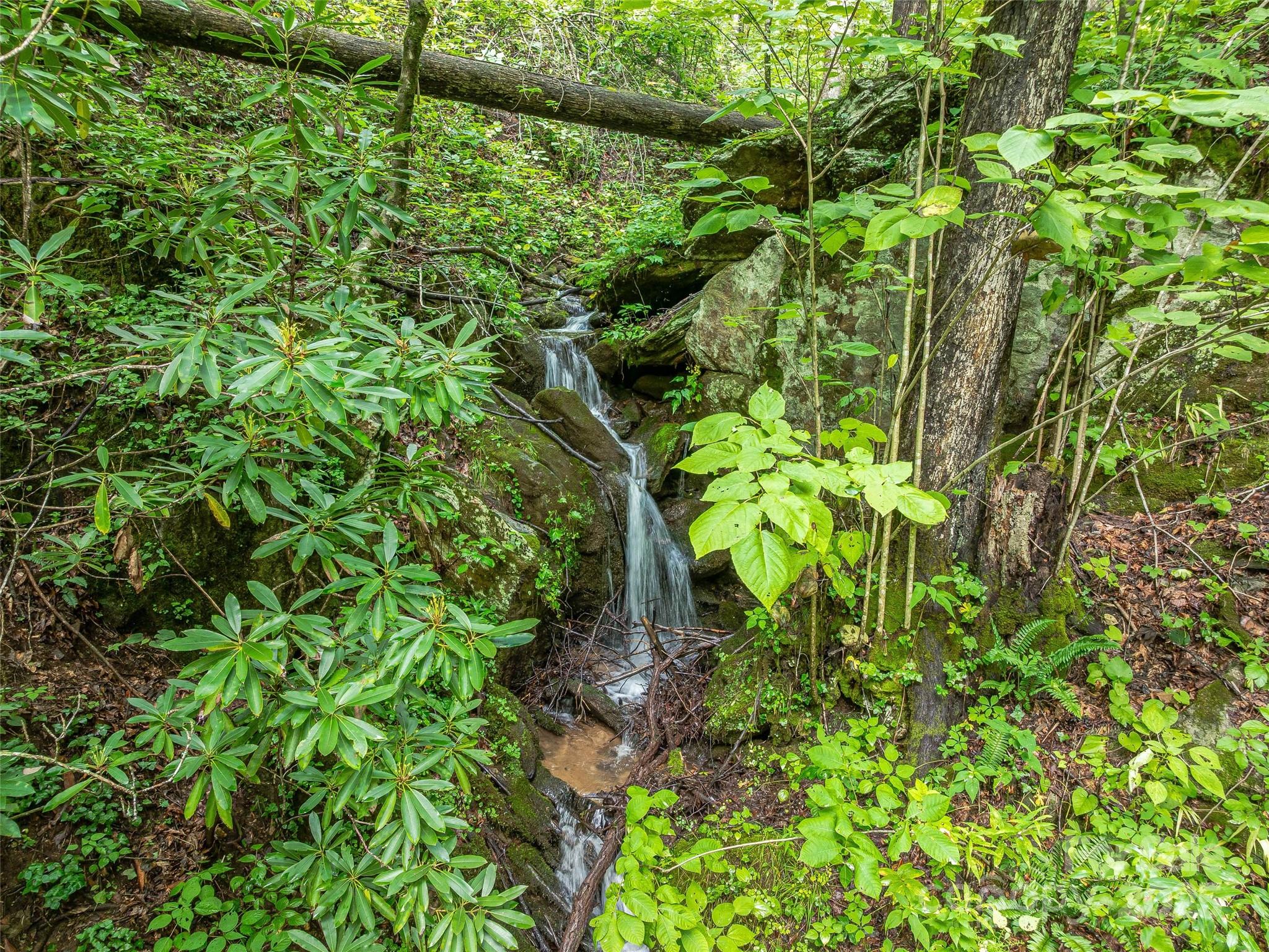 415 Shady Grove Road Tuckasegee NC 28783