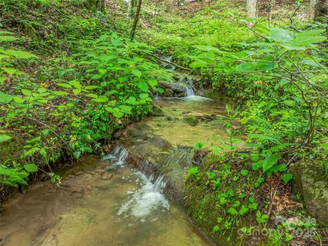 415 Shady Grove Road Tuckasegee NC 28783