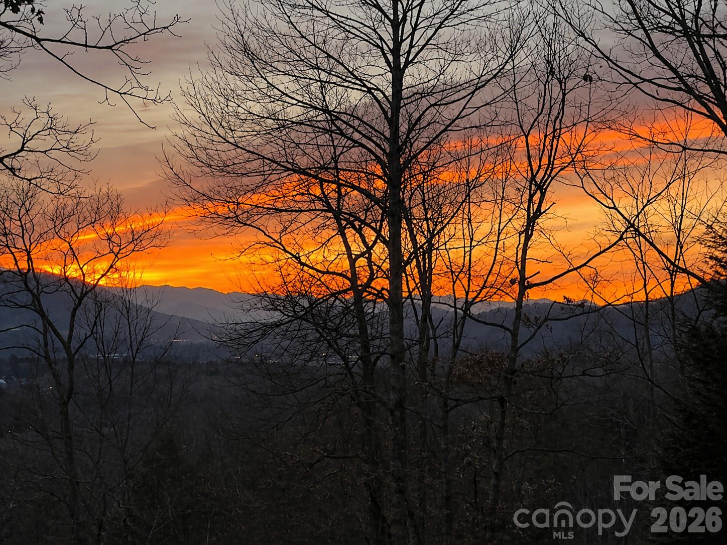 43 Galax Lane Black Mountain NC 28711