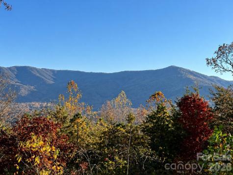 43 Galax Lane Black Mountain NC 28711