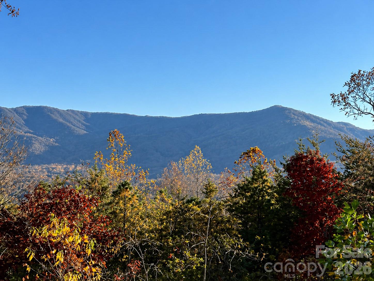 43 Galax Lane Black Mountain NC 28711