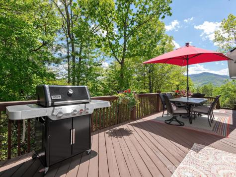 43 Galax Lane Black Mountain NC 28711