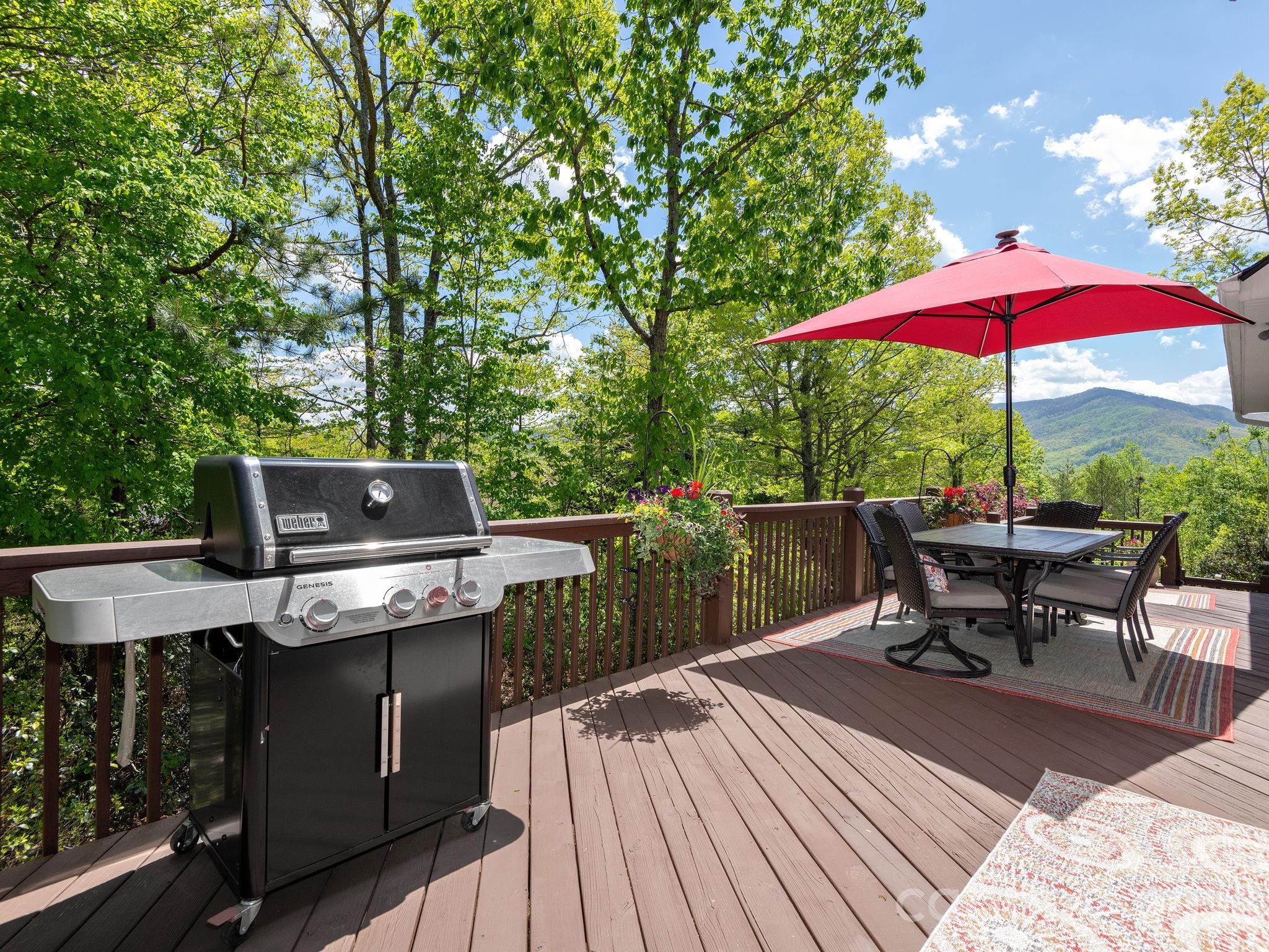 43 Galax Lane Black Mountain NC 28711