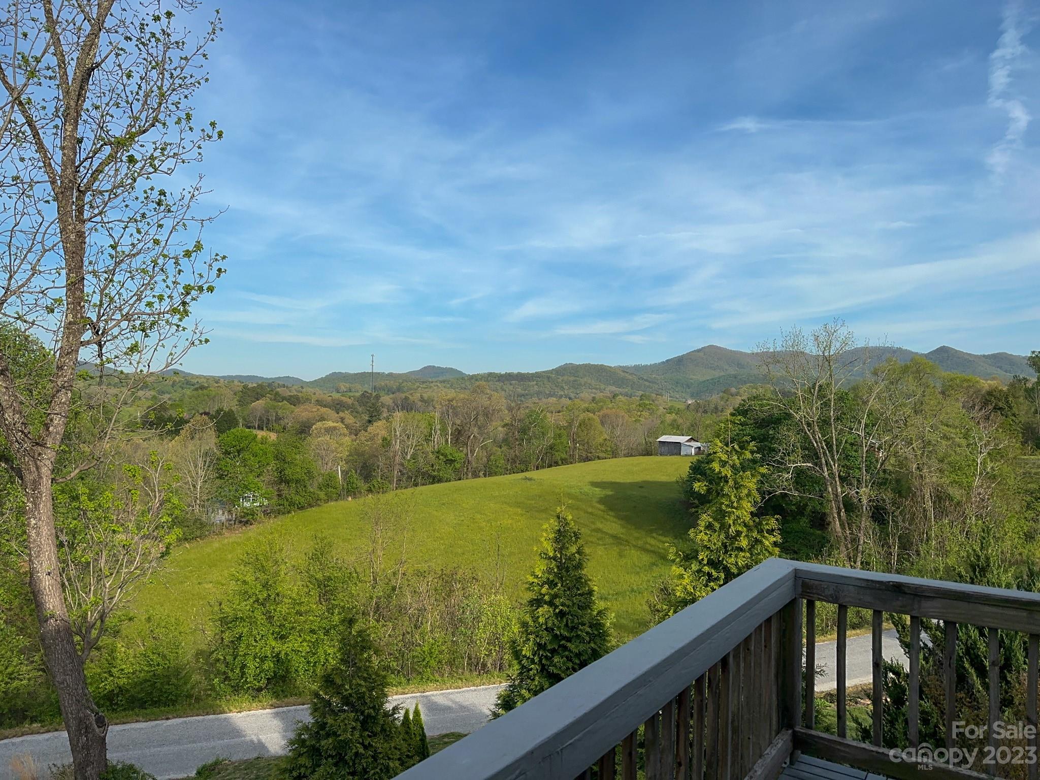 30 Deer Meadows Drive Candler NC 28715