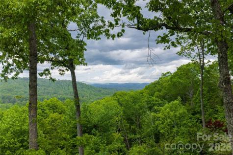 12 Spring Ridge Lane Hendersonville NC 28739
