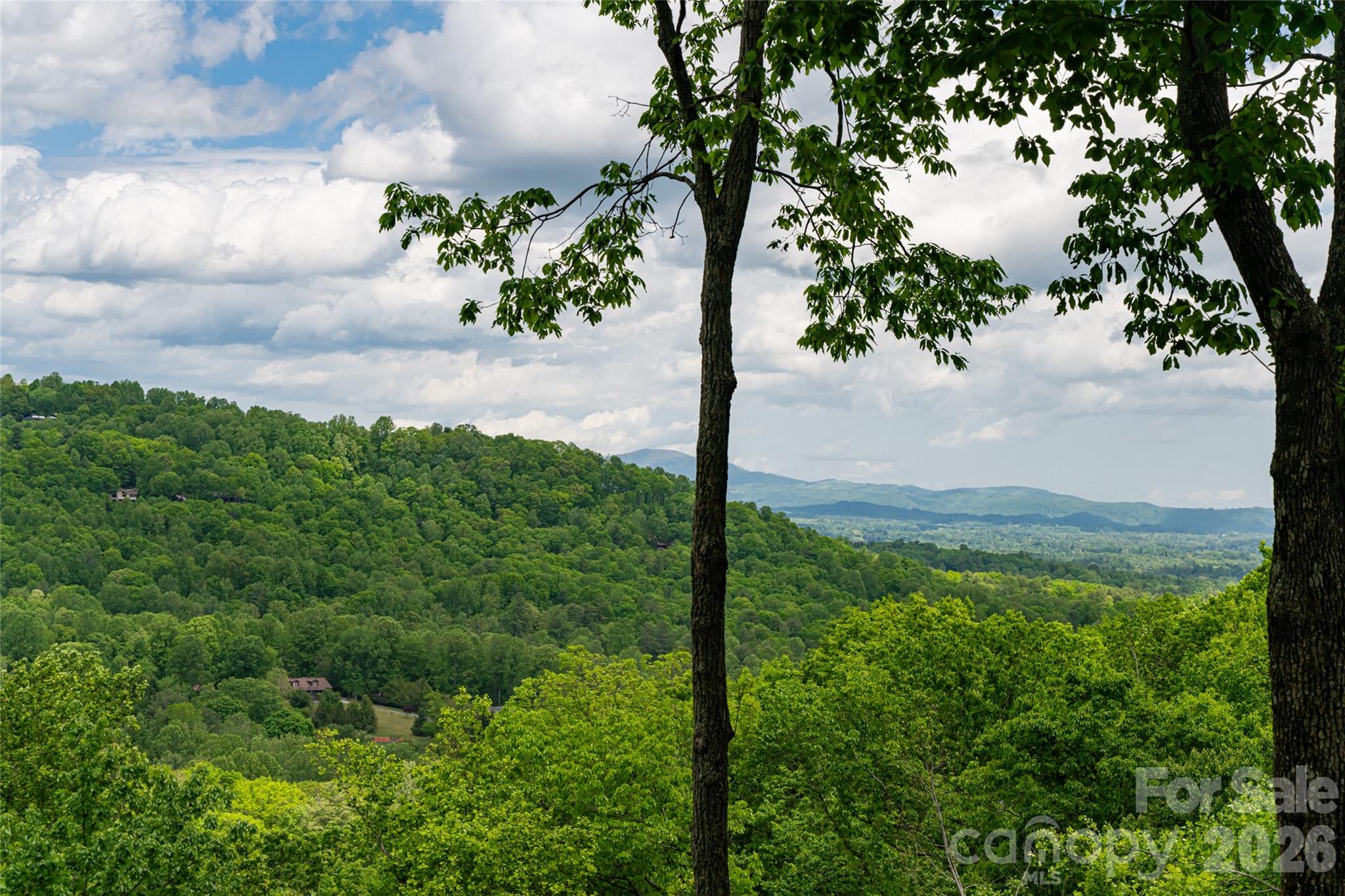 12 Spring Ridge Lane Hendersonville NC 28739
