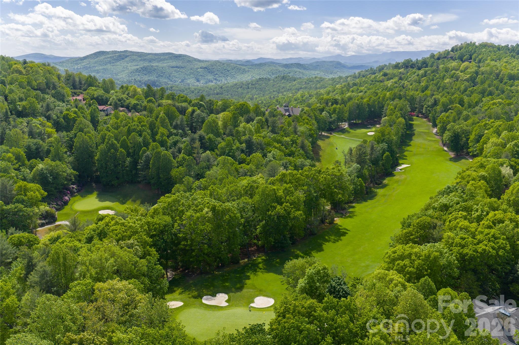 12 Spring Ridge Lane Hendersonville NC 28739