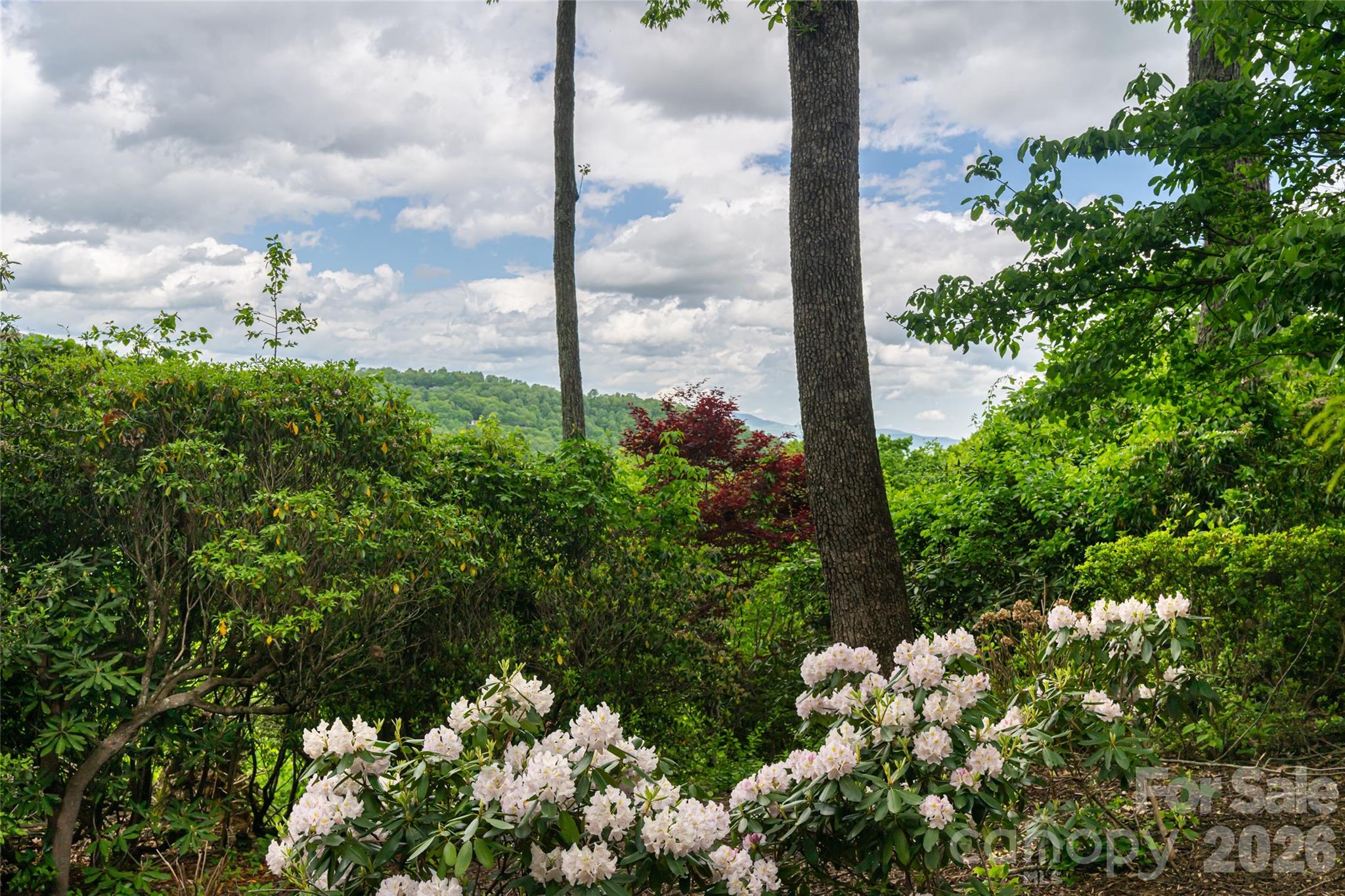 12 Spring Ridge Lane Hendersonville NC 28739