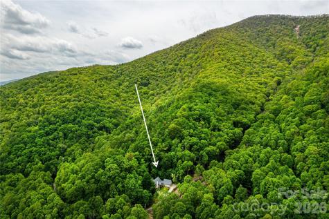 58 Great Aspen Way Black Mountain NC 28711