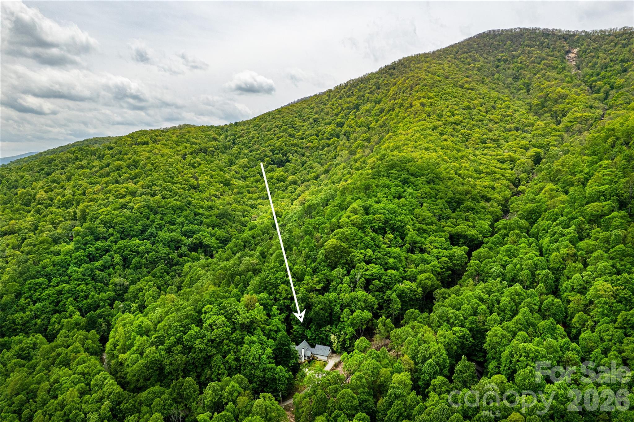 58 Great Aspen Way Black Mountain NC 28711