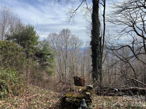 2085 Laurel Road N Maggie Valley NC 28751