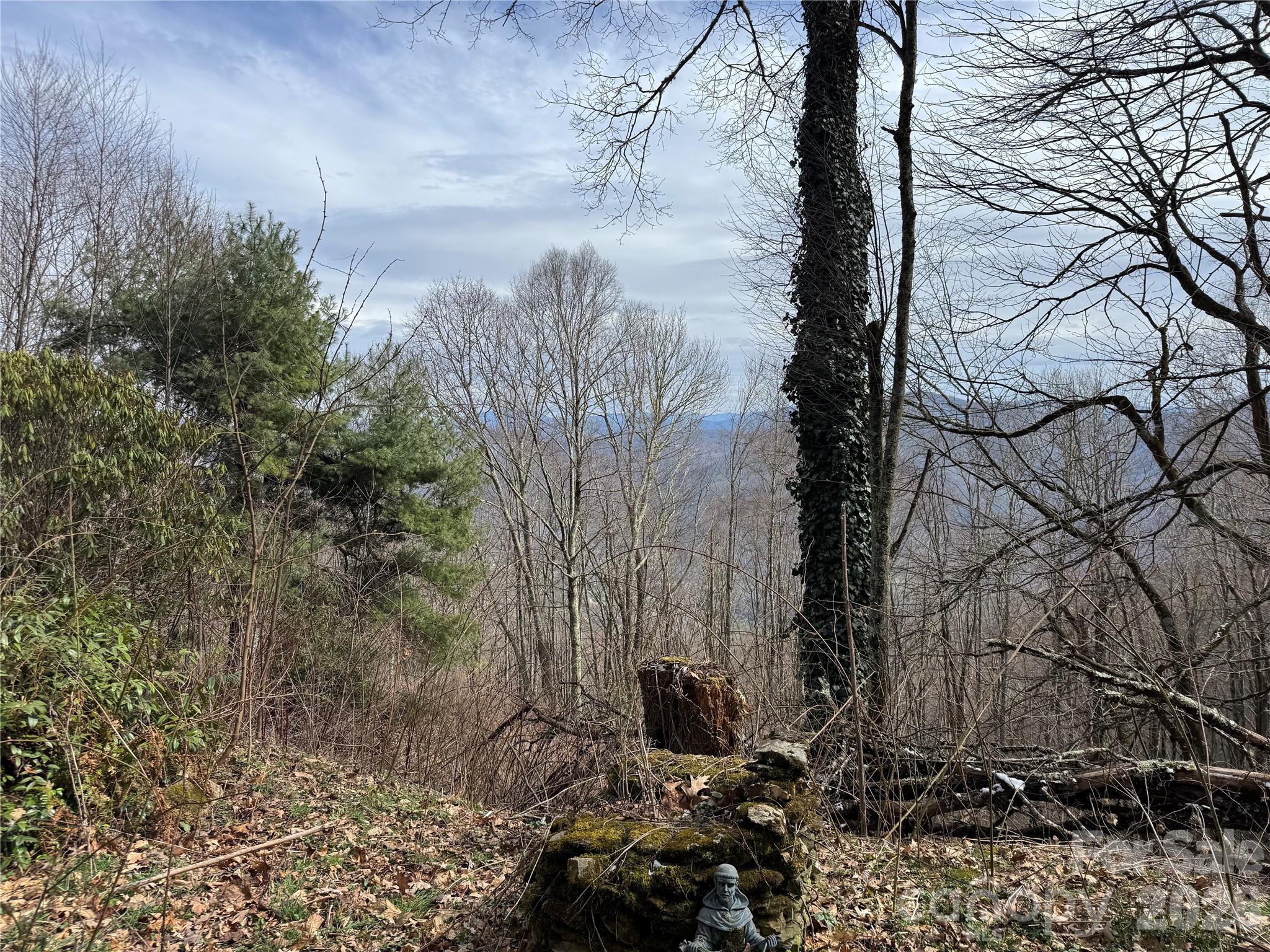 2085 Laurel Road N Maggie Valley NC 28751