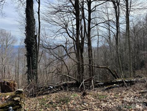 2085 Laurel Road N Maggie Valley NC 28751
