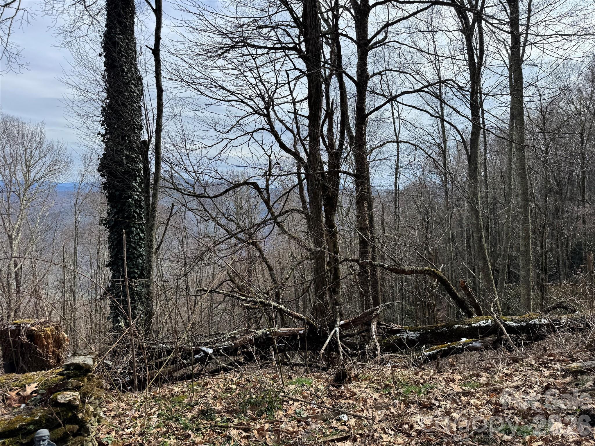 2085 Laurel Road N Maggie Valley NC 28751