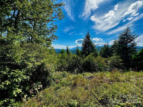 807 Pine Tree Road Spruce Pine NC 28777