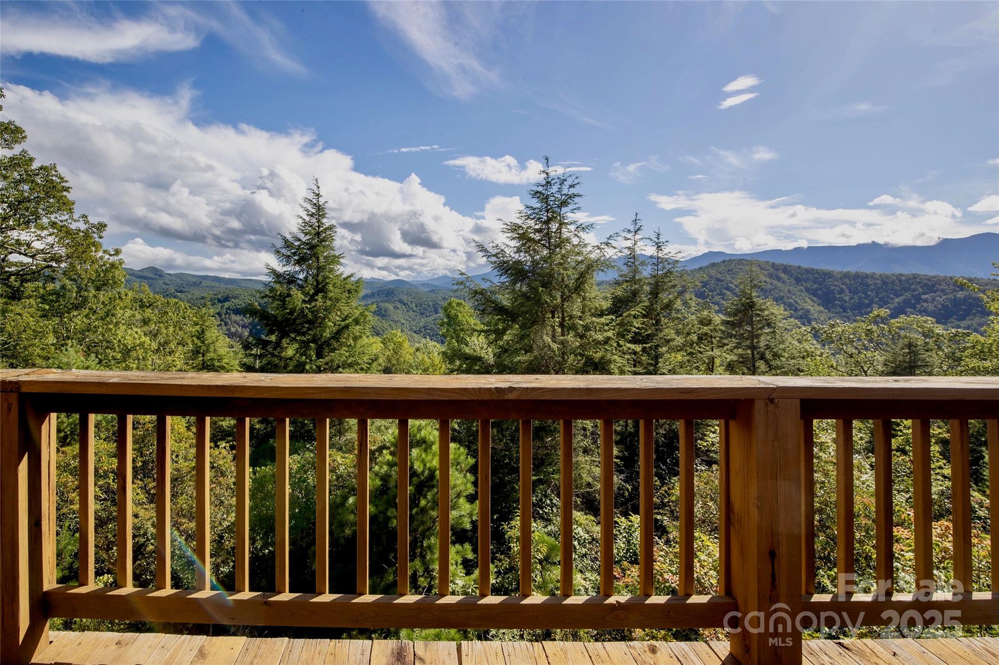 807 Pine Tree Road Spruce Pine NC 28777