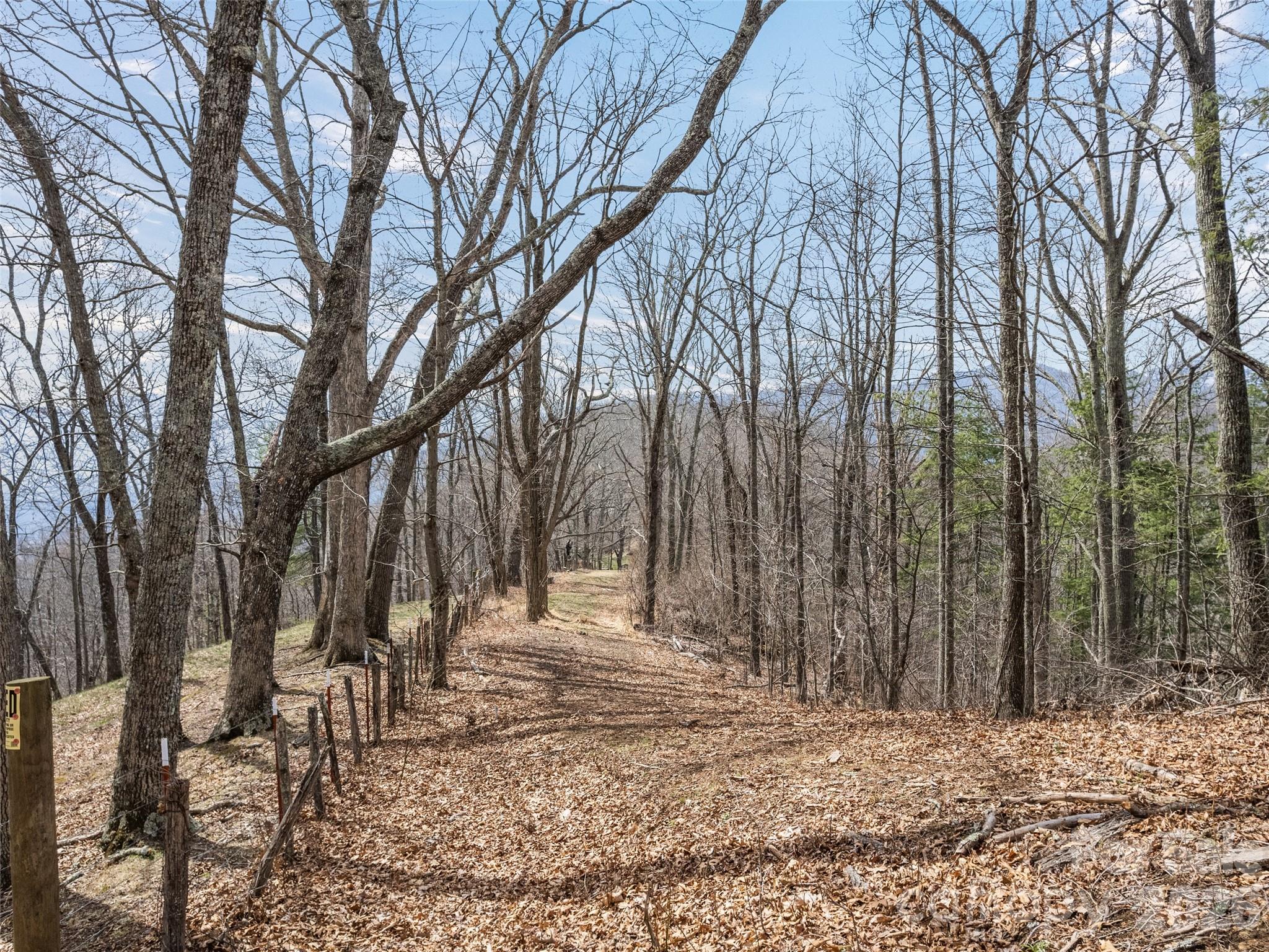 415 Treetop Lane Waynesville NC 28785
