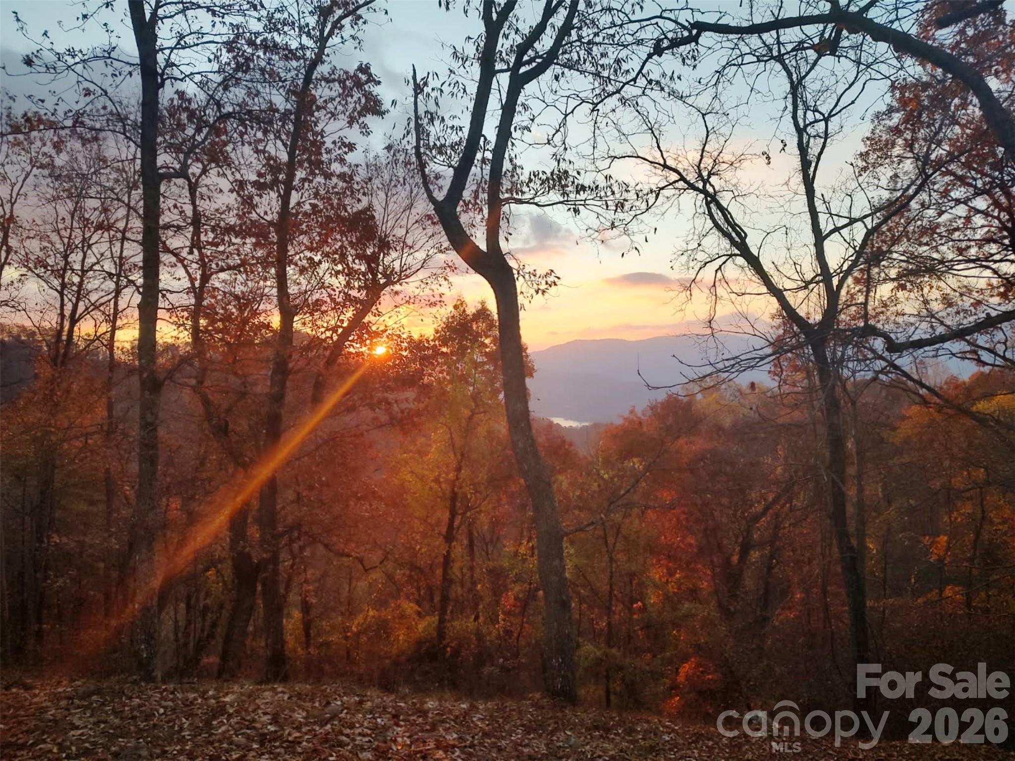 415 Treetop Lane Waynesville NC 28785