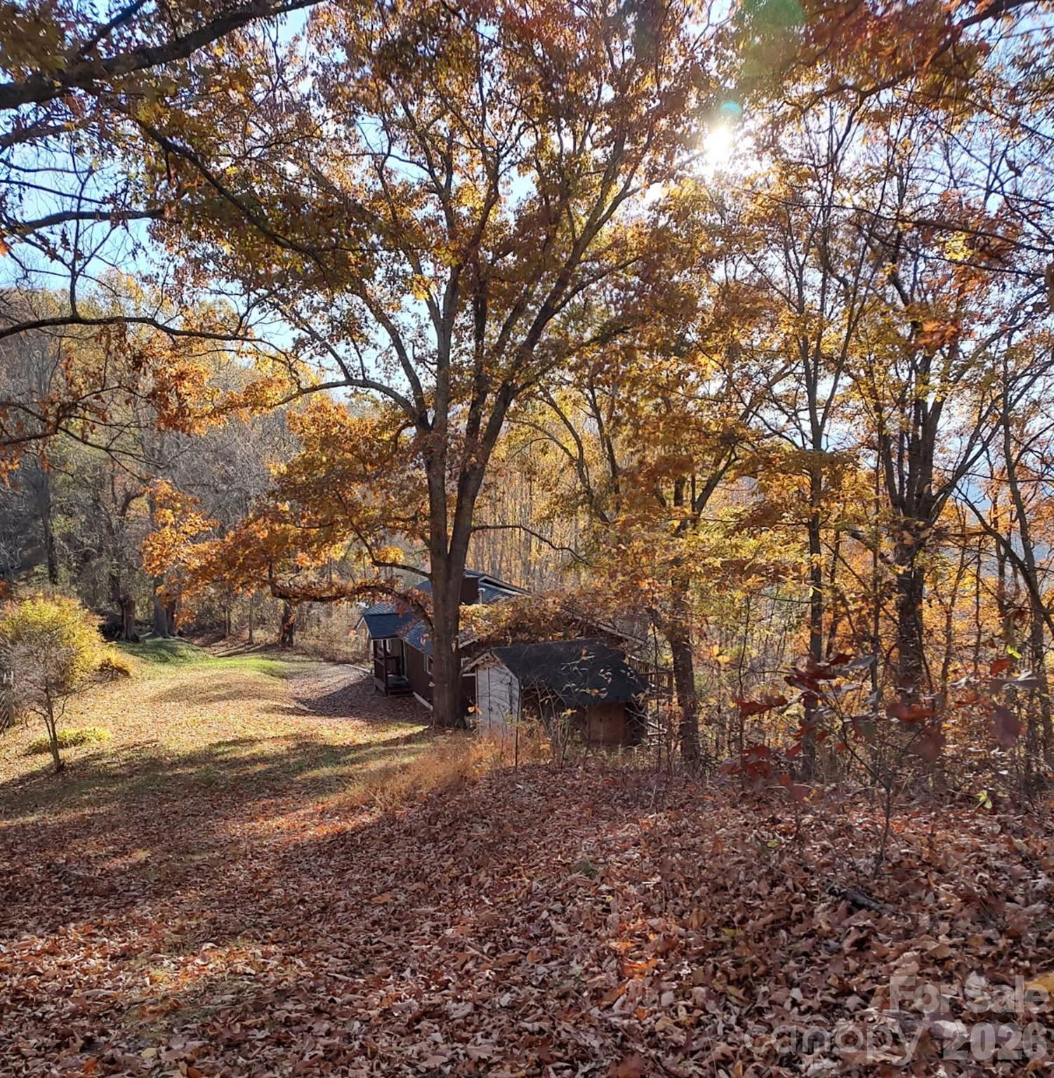 415 Treetop Lane Waynesville NC 28785