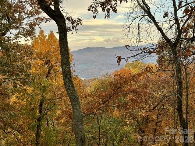 415 Treetop Lane Waynesville NC 28785